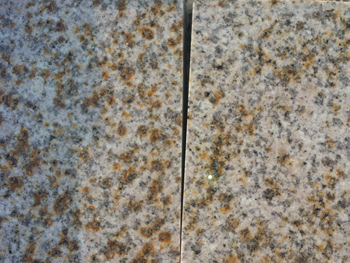 SPʯʯ